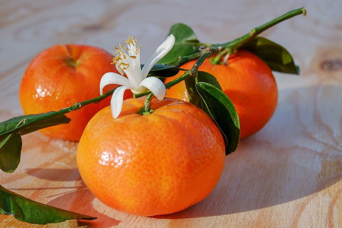 Tangerine Sunshine Fragrance Oil
