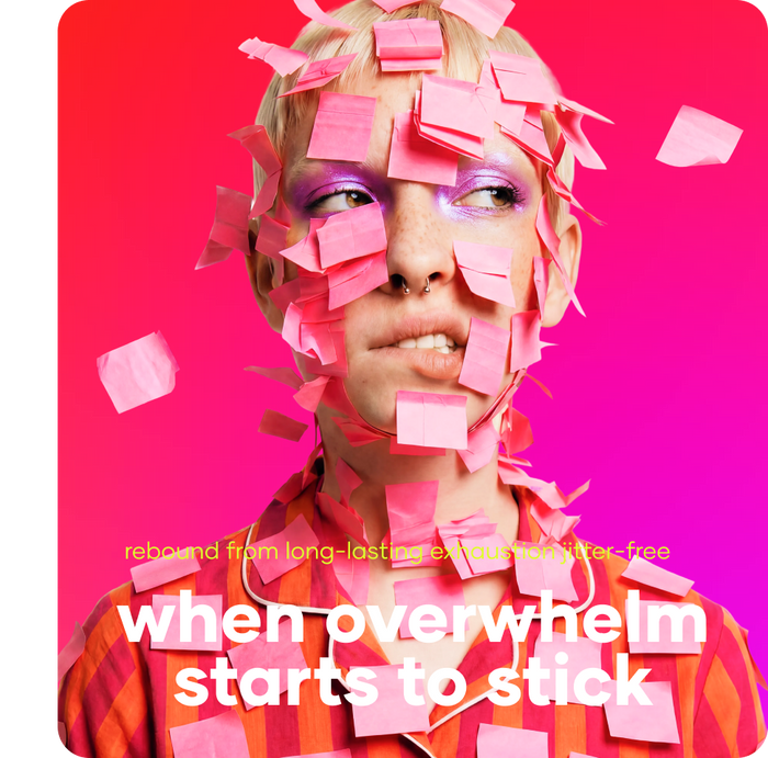 turn off your brain bundle