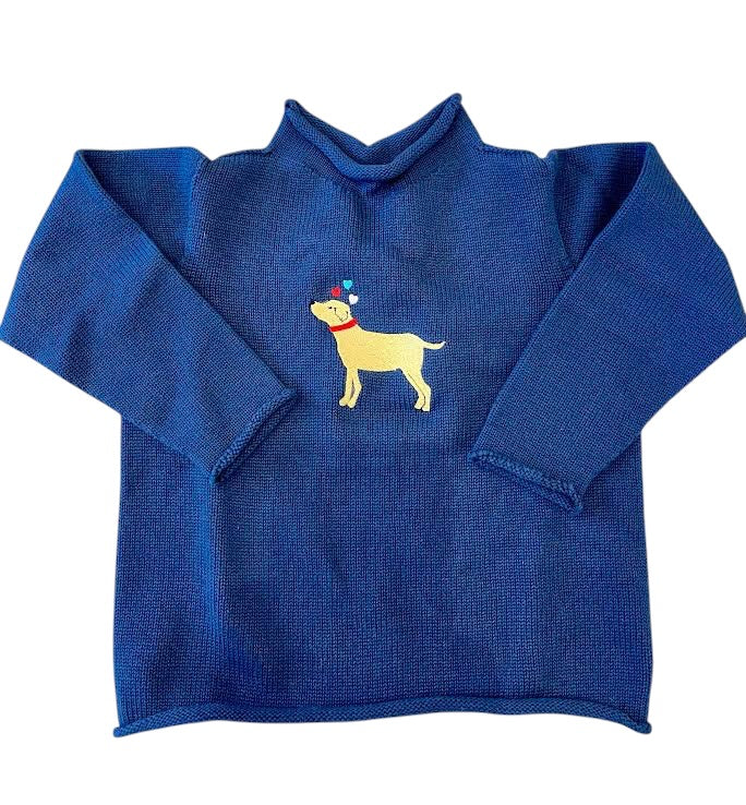 A Soft Idea Valentine's Retriever Roll Neck Sweater in Navy