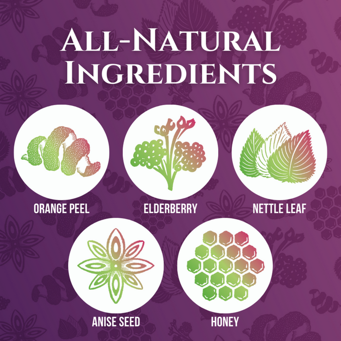 Andi Lynn's Springberry Elderberry Syrup, 4 oz