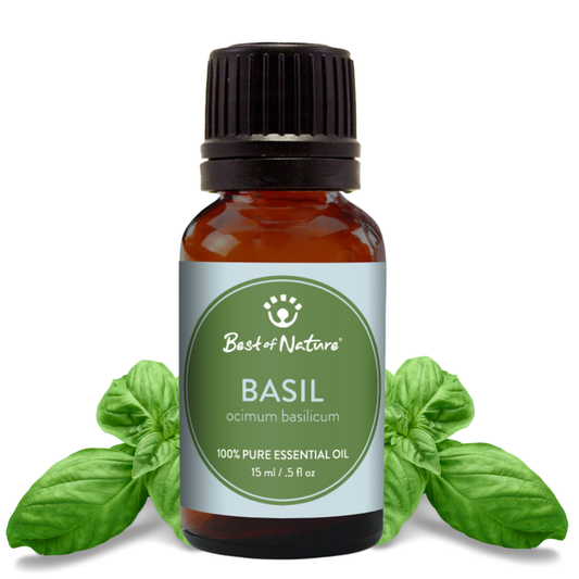 Bottle of basil essential oil with a label on a white background