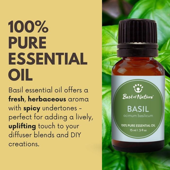Basil essential oil offers a fresh, herbaceous aroma with spicy undertones. Made in the USA by Best of Nature
