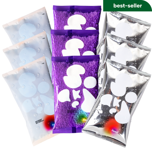best of the best bundle subscription