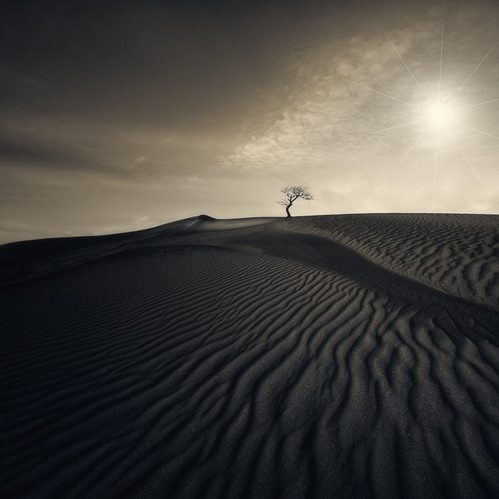 Photography  | Desert Waves | Nick Psomiadis