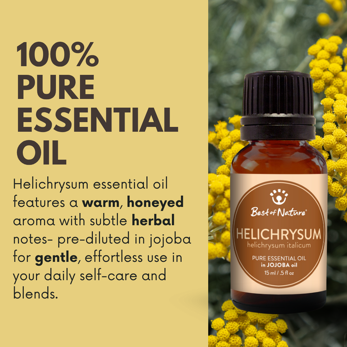 Helichrysum essential oil bottle on a green background with text about its aroma and use.