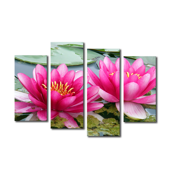 High Quality Art Print on Stretched Canvas of Pink Floating Lotus Flowers