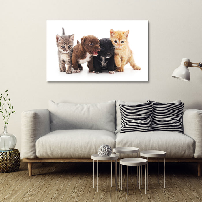 High Quality Art Print on Stretched Canvas of Puppies & Cats