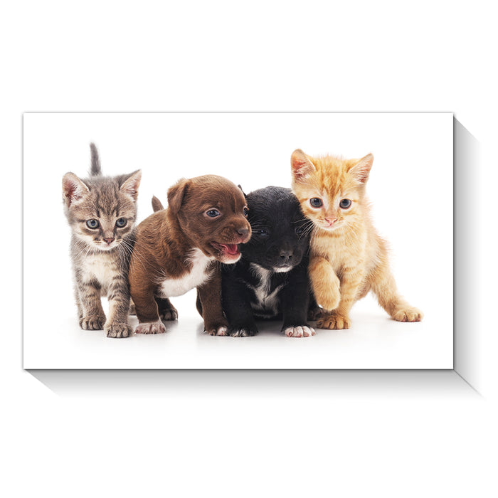 High Quality Art Print on Stretched Canvas of Puppies & Cats