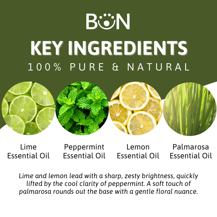Invigorating Aromatique - Essential Oil Blend