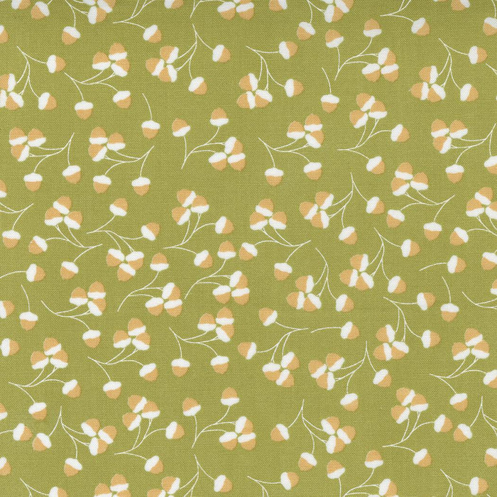LAST CHANCE - COZY UP - ACORNS FALL (1 2/3 YARDS)
