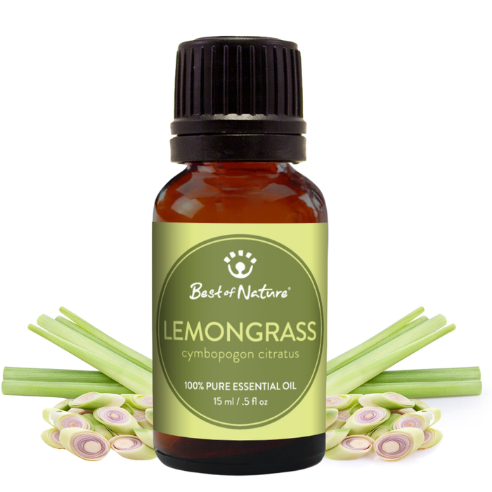 Bottle of lemongrass essential oil with lemongrass stalks and leaves on a white background