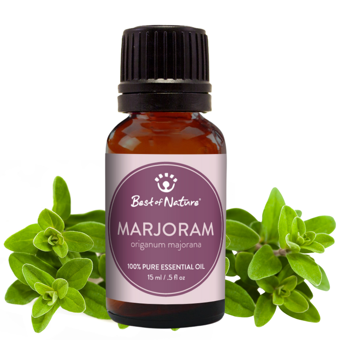 Marjoram essential oil bottle with green marjoram leaves on a white background