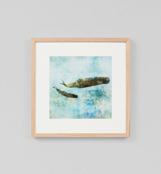 Ocean Whale 2