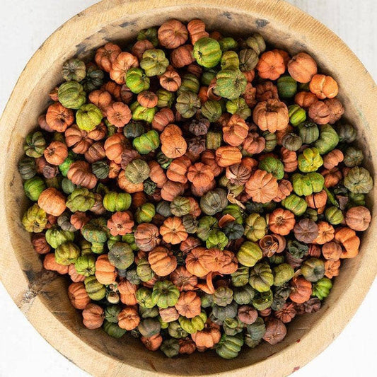 Orange + Green Putka Pods in Bag - Olita Gifts & Goods