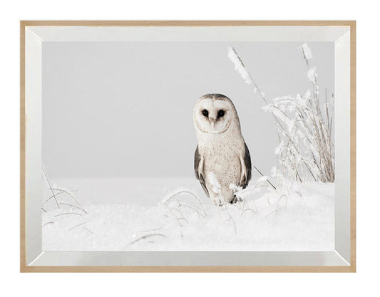 Peaky Owl
