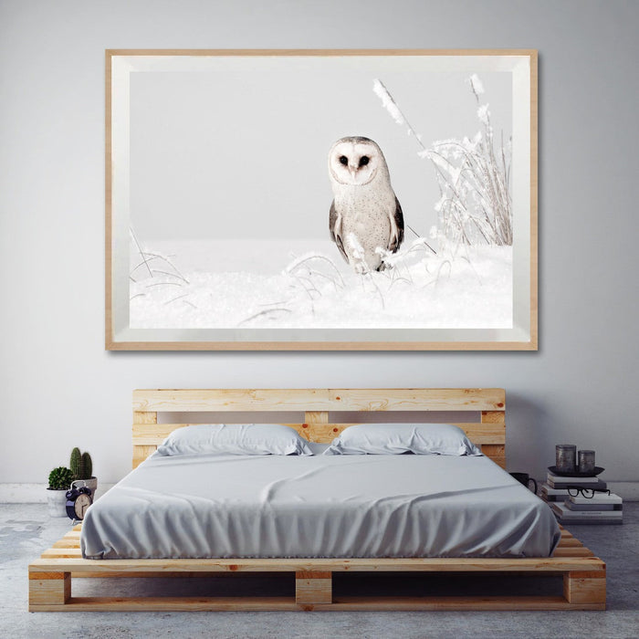 Peaky Owl