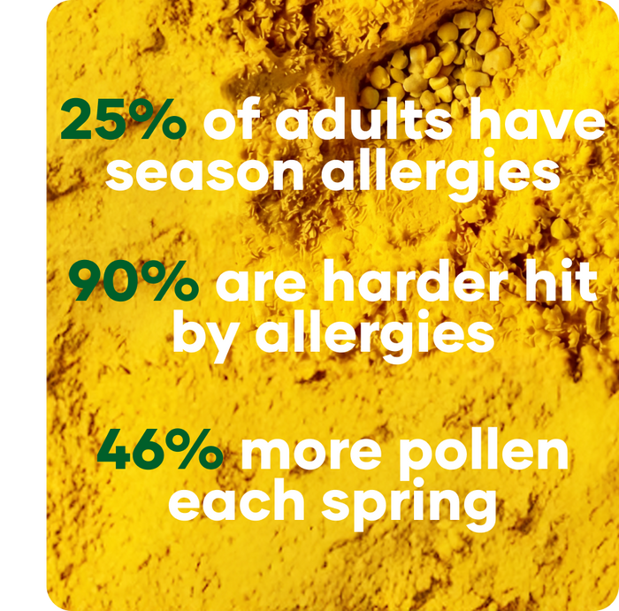 pollen punching bundle