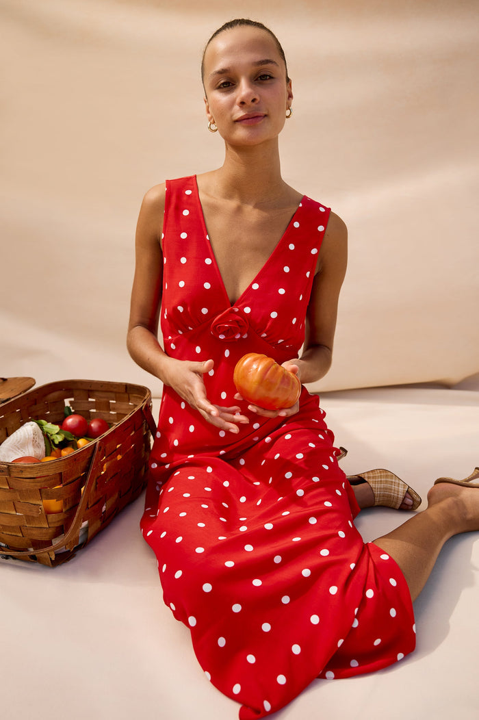 Rails Terena Dress in Rossa