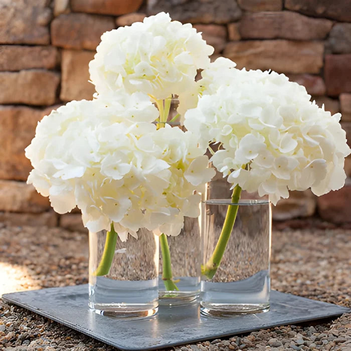 Simply Lush White Hydrangea Wholesale Flower In a vases