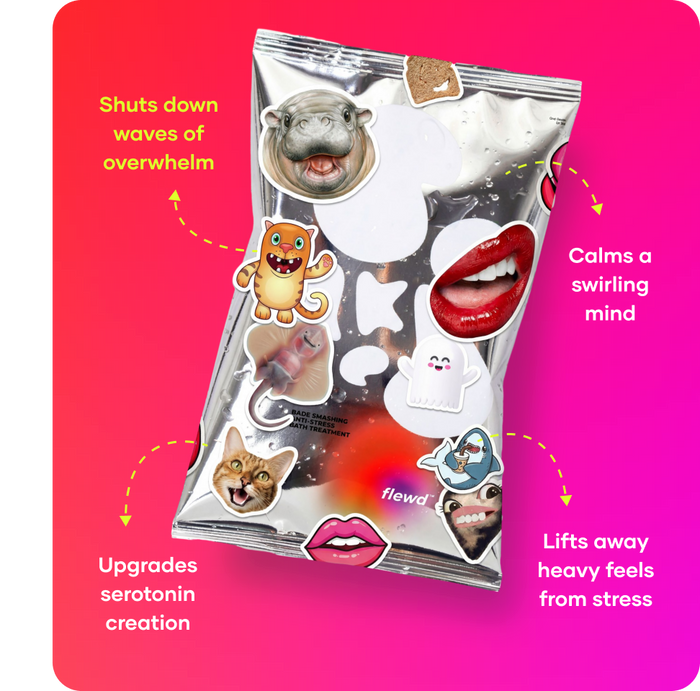 smile day bundle