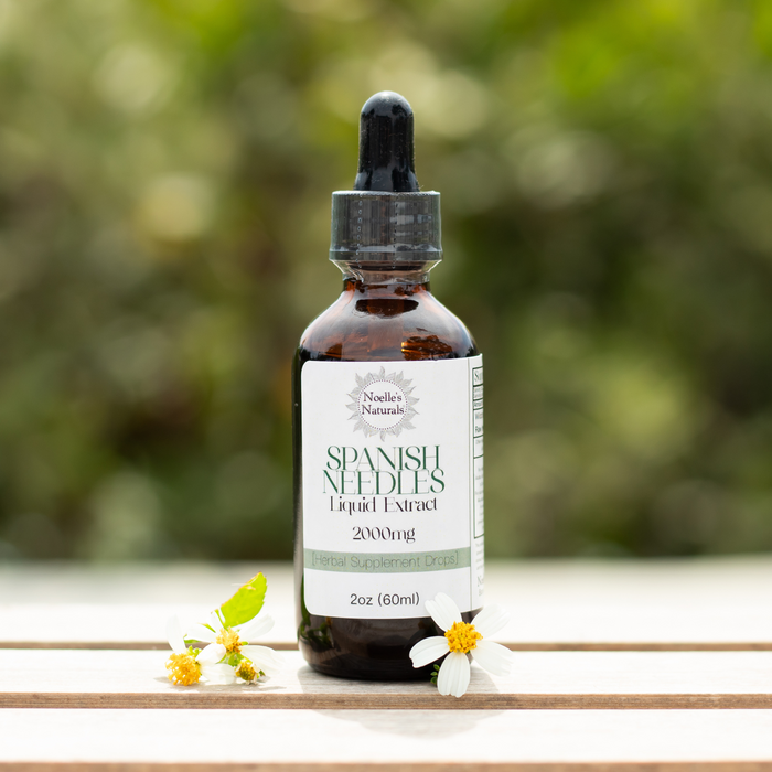 Wildcrafted, hand-harvested Spanish needles herbal extract made in small batches by yours truly, Noelle's Naturals!
