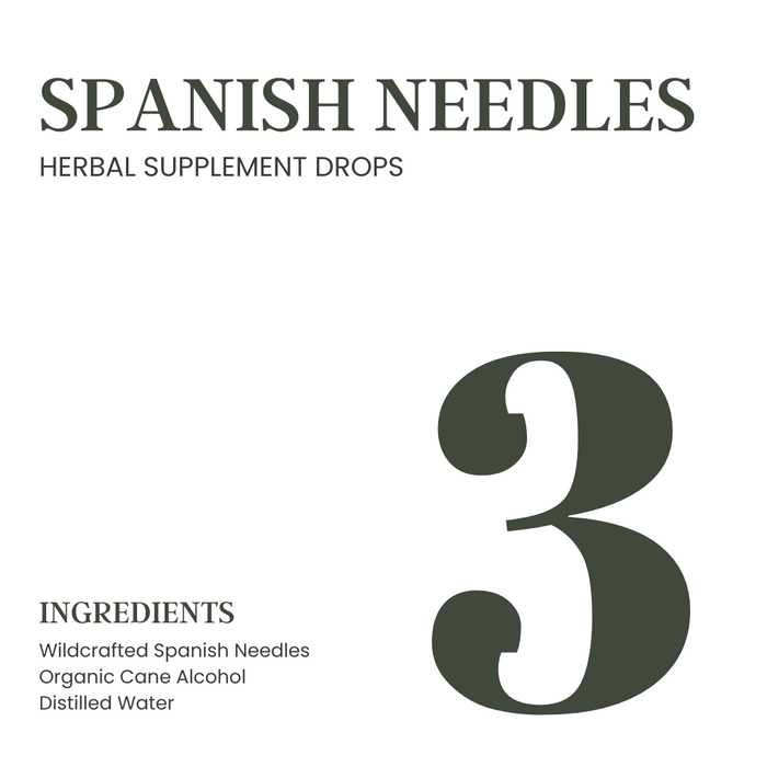 Spanish Needles Extract [Herbal Supplement Drops]