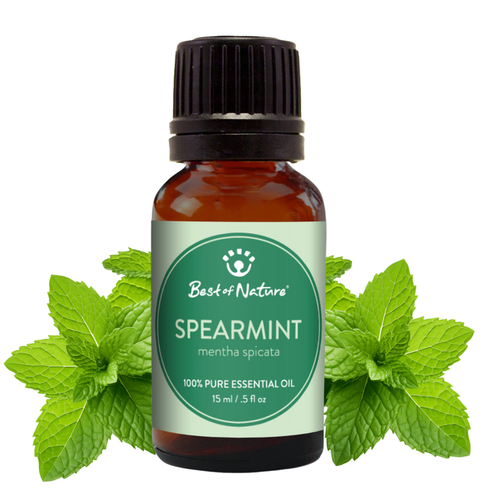 Spearmint essential oil bottle with leaves on a white background