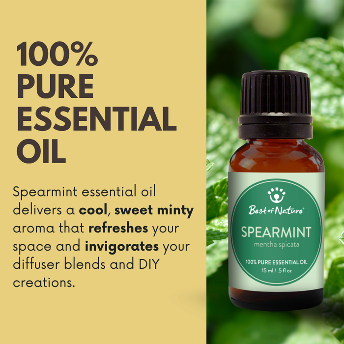 Spearmint essential oil delivers a cool, sweet minty aroma that refreshes your space and invigorates your diffuser blends and DIY creations.