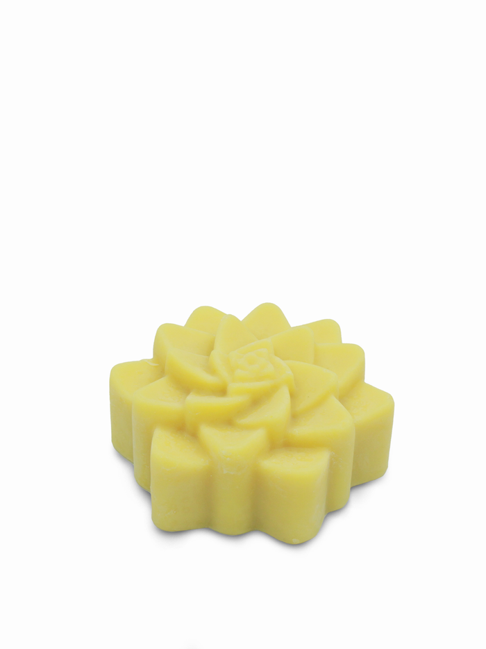 Succulent Lotion Bar - Vegan