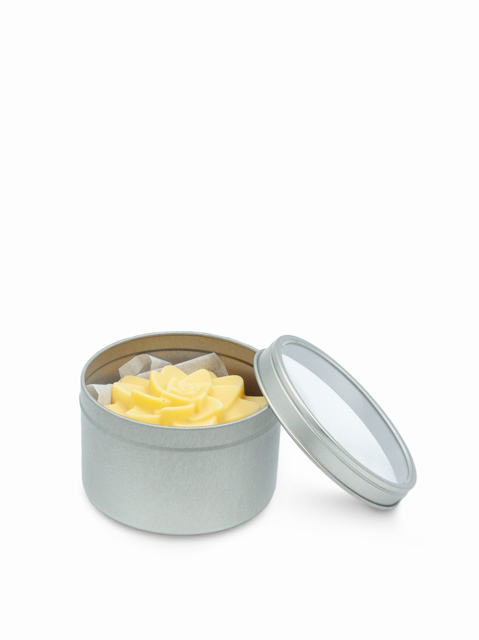 Succulent Lotion Bar - Vegan