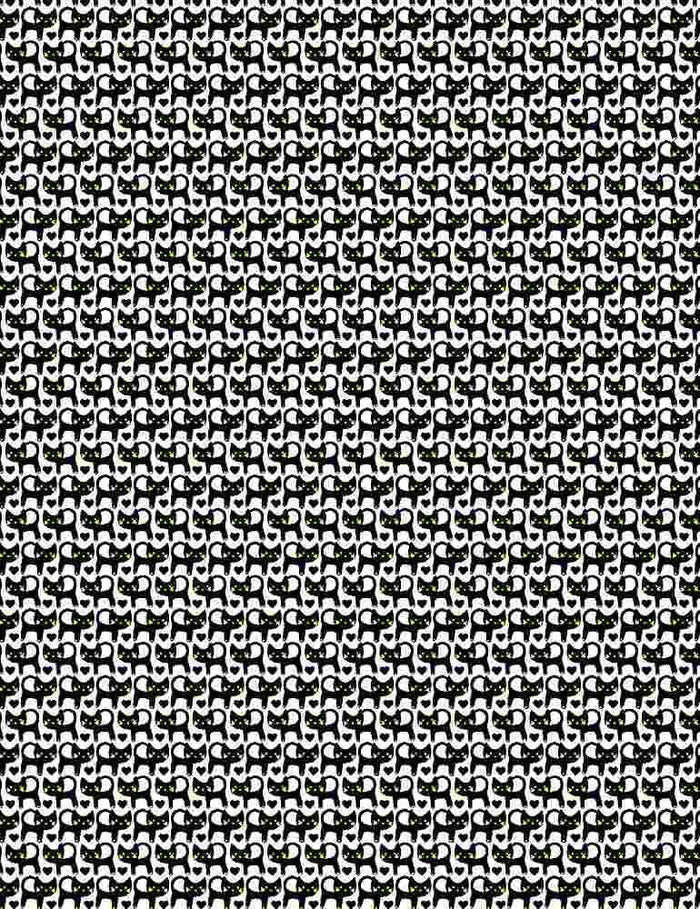 SUNDANCE - BLACK CATS WITH YELLOW EYES (4 YARDS)