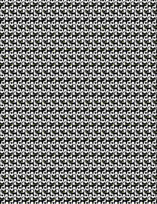 SUNDANCE - BLACK CATS WITH YELLOW EYES (4 YARDS)