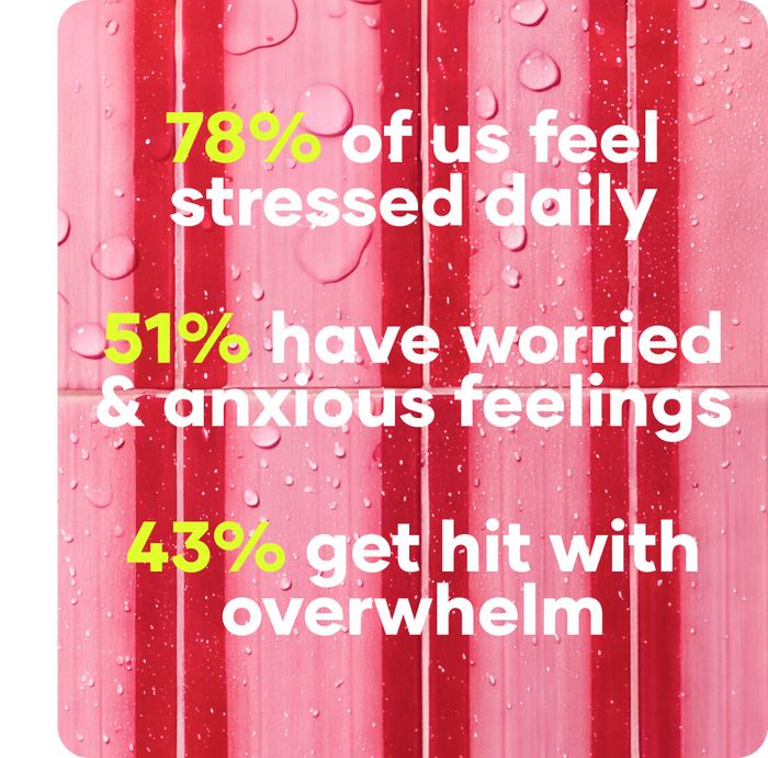 upgrade your magnesium bundle